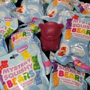 Mystery Squishy Bears
